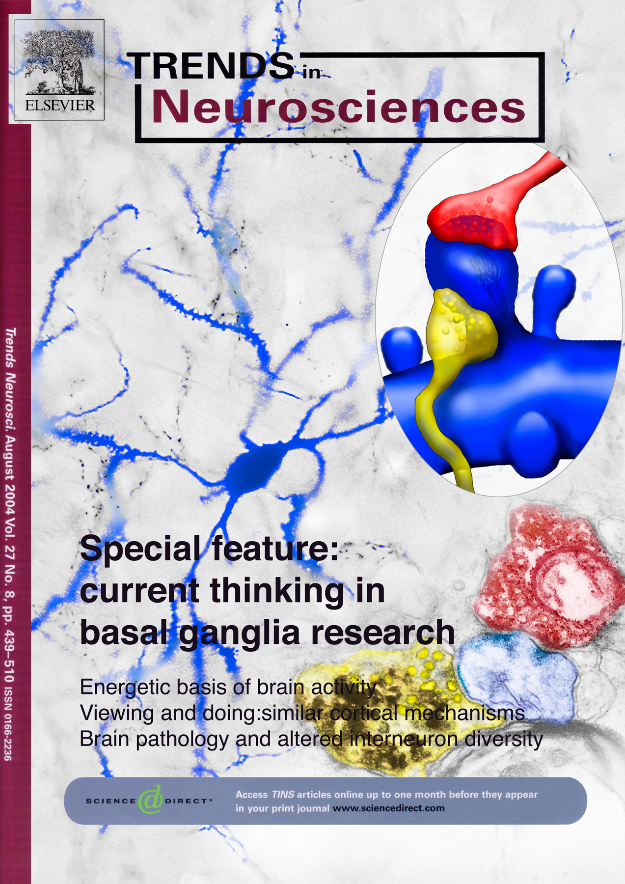 Trends in Neurosciences Cover- Basal Ganglia